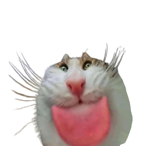 miaobonk.fun favicon